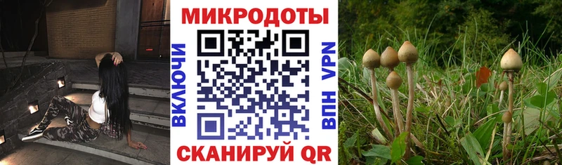 Купить закладки  Сызрань  Галлюциногенные грибы MAGIC MUSHROOMS 